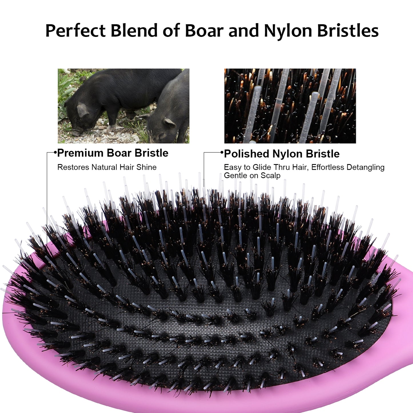 Boar bristle comb Purple